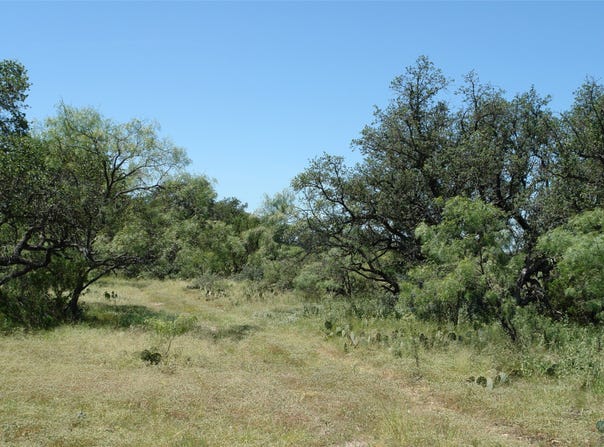 0001 CR 146, Brady, TX 76825