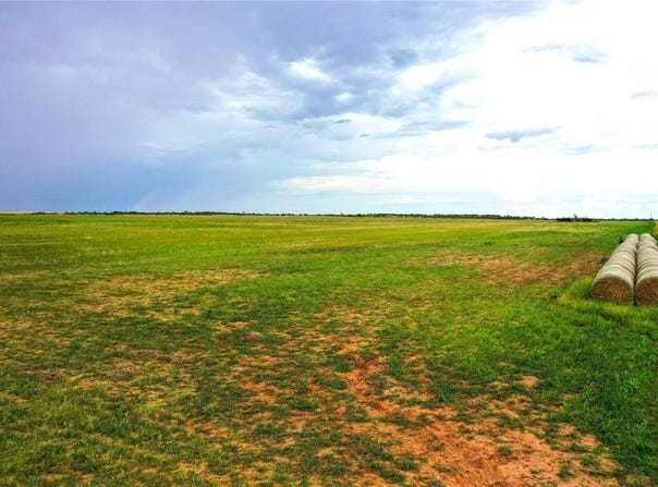 Tbd CR 463, Rule, TX 79547