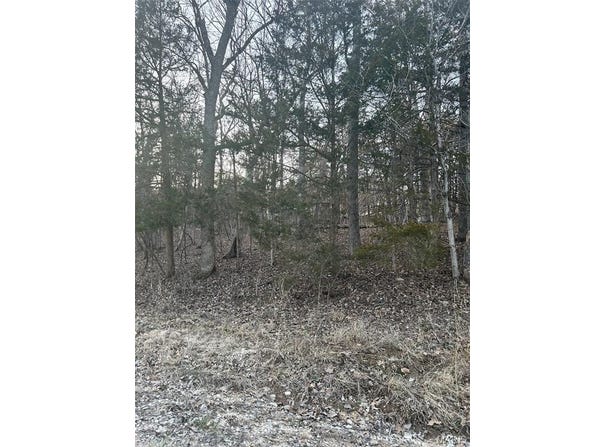 121 Briarwood Terrace, De Soto, MO 63020