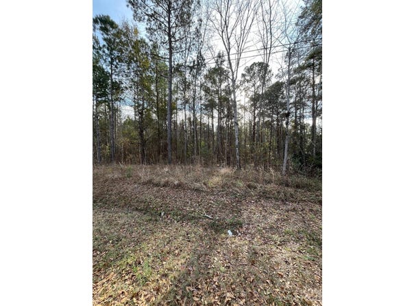 44 Trade Mill Court, Winnsboro, SC 29180