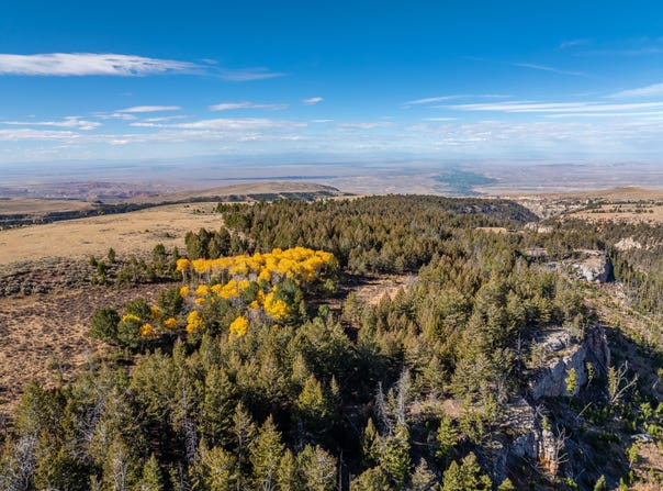 TBD, Shell, WY 82441