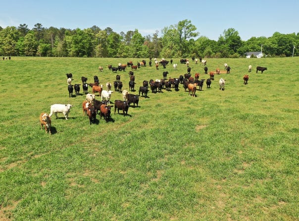 Crawford Road, Tract B, Due West, SC 29639