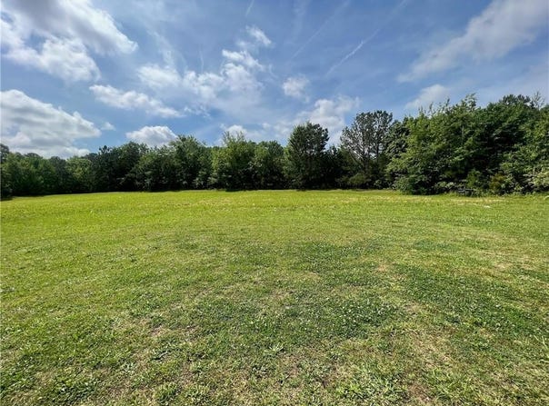 156 Orchard Park Drive, Mcdonough, GA 30253