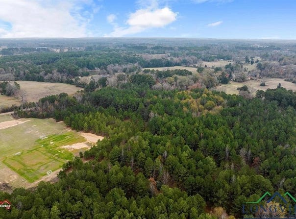 Tbd FM 782, Henderson, TX 75652