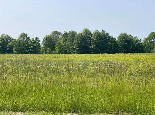18487 Smokey Road, Marysville, OH 43040