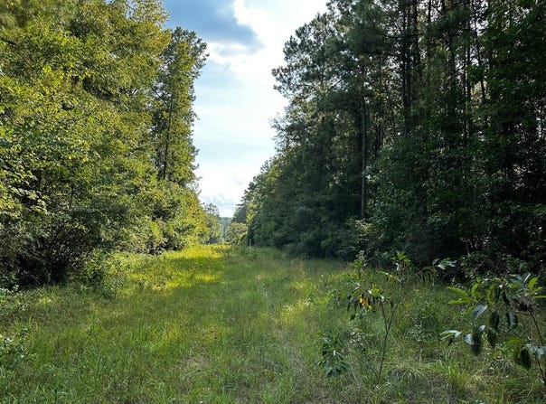 0 Benndale Road, Wiggins, MS 39577