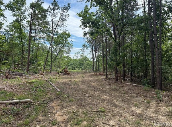 Tract 2 Hidden Valley, Annapolis, MO 63645