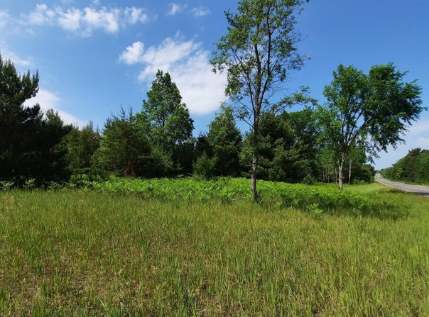 19.5 Acres 9 Mile Road, Kaleva, MI 49645