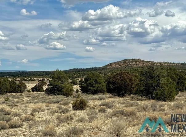 16 Five Gate Road, Pinehill, NM 87357