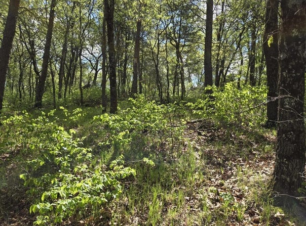 1163 Brown Bear Trail, Nekoosa, WI 54457