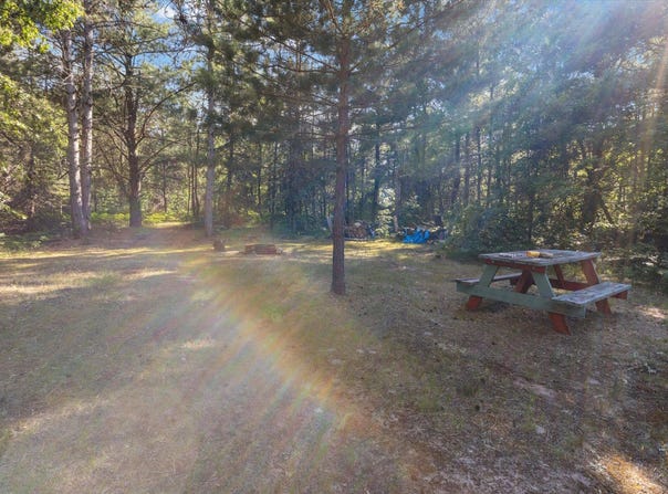 6578 W 13 Mile Road, Bitely, MI 49309
