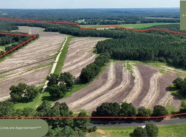 216 County Road 201 Road, Ariton, AL 36010