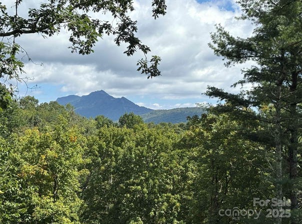 Linhigh Drive, Newland, NC 28657