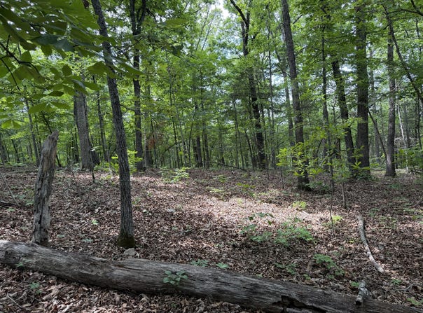 Moore Bend Road, Cedarcreek, MO 65627