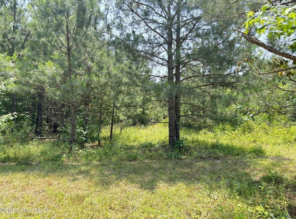 Lot 24 Buckhorn Church Road, Como, NC 27818