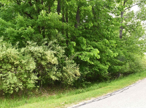 Islanders lot: 271, Gladwin, MI 48624