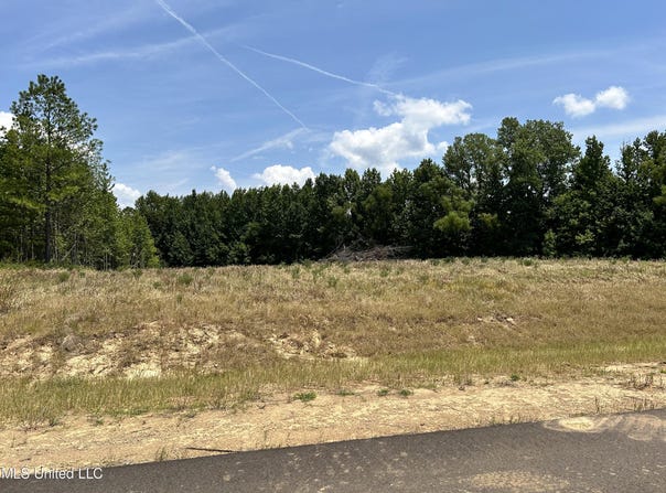 25 Riverwood Cove N lot: 25, Lake Cormorant, MS 38641