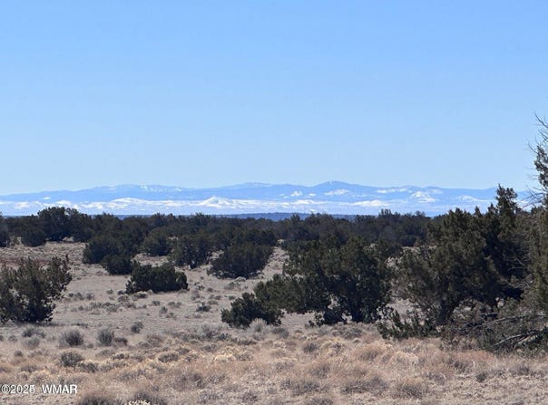 004p N N7204, St. Johns, AZ 85936