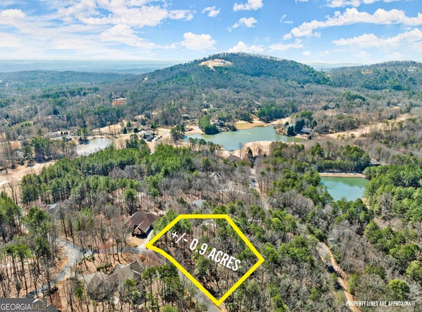0 Golden Delicious, Clarkesville, GA 30523