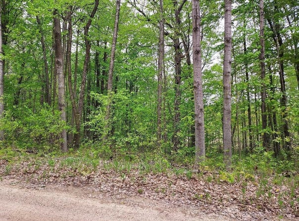 00 BUCK LANE, HARRISON, MI 48625