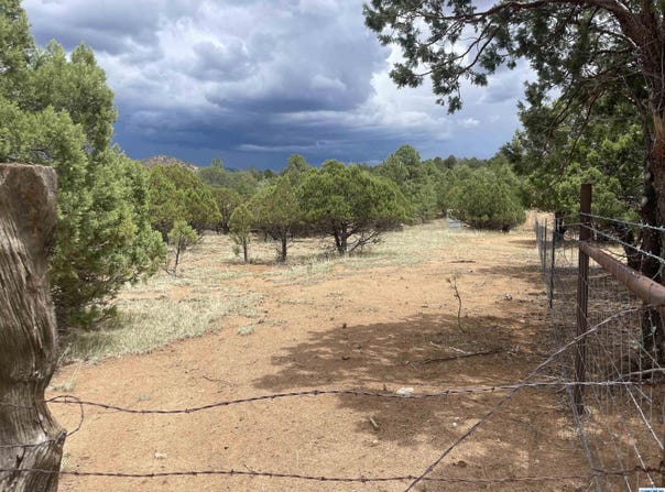 Hwy 15, Pinos Altos, NM 88053