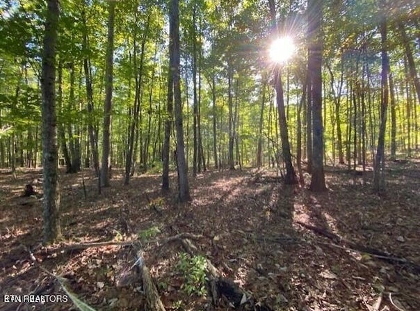 Partridge Tr, Grandview, TN 37337