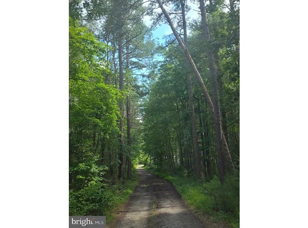 4820 DANVILLE ROAD, BRANDYWINE, MD 20613