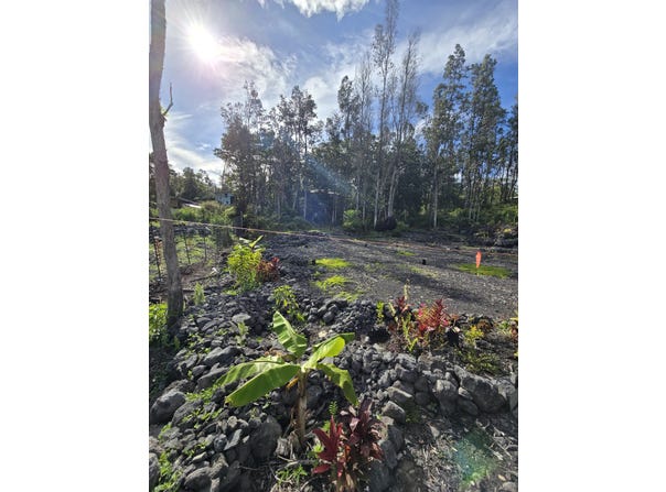 12-4336 IOLANI ST, Pahoa, HI 96778