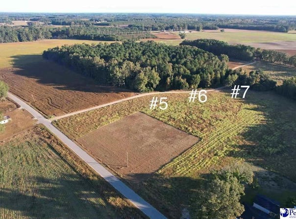 Lot 5 Neil Drive, Hamer, SC 29547