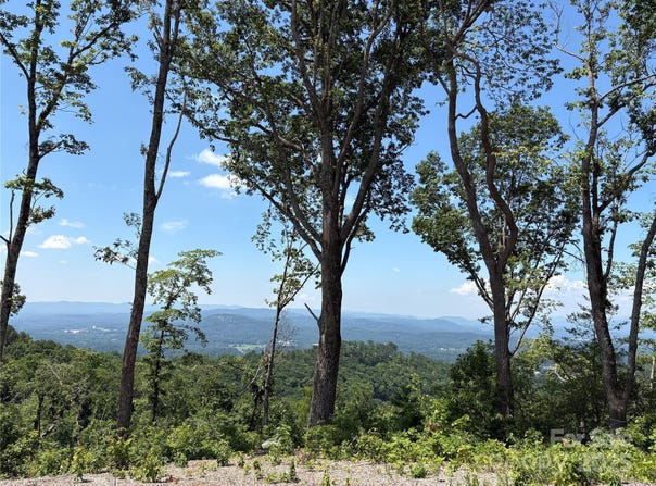 Lot 50 Mountain Grove Lane, Fletcher, NC 28732