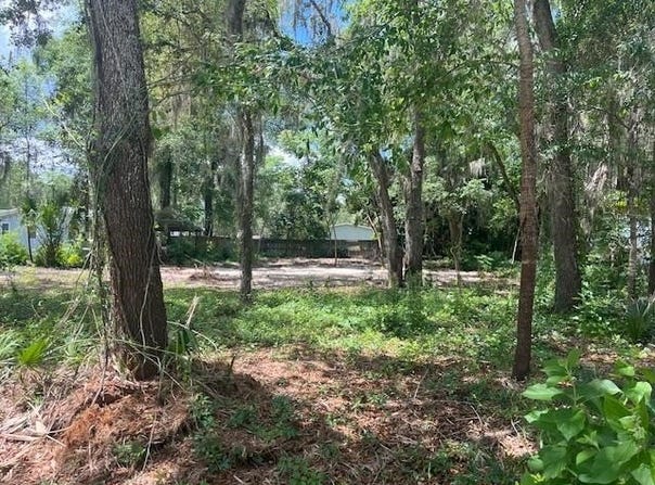 107 MARLIN DR, SATSUMA, FL 32189