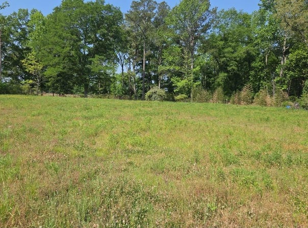 10997 VANCE BLOCKTON ROAD lot: ., VANCE, AL 35490