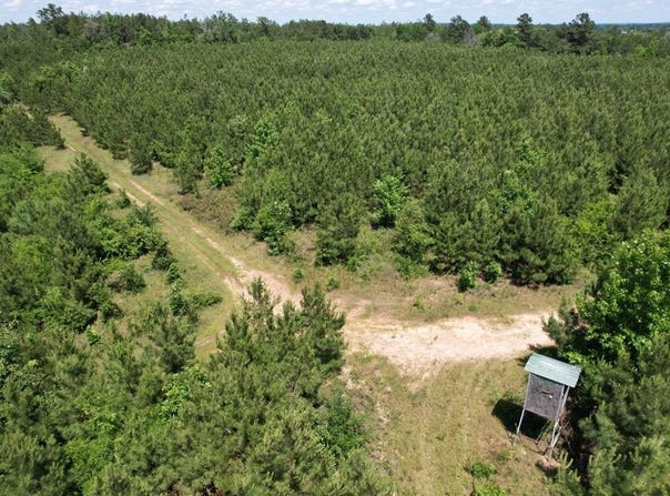 Tbd County Road 3206, Mount Enterprise, TX 75681