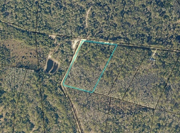 Canoochee Drive, Claxton, GA 30417