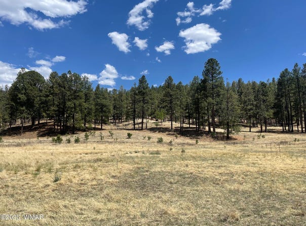 Tbd County Road N2275, Nutrioso, AZ 85932
