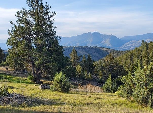 WILEY CREEK ROAD Road, Dayville, OR 97825