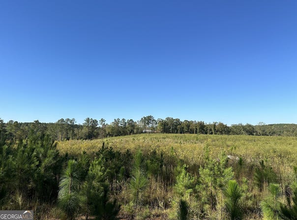 0 Prior Station, Cedartown, GA 30125