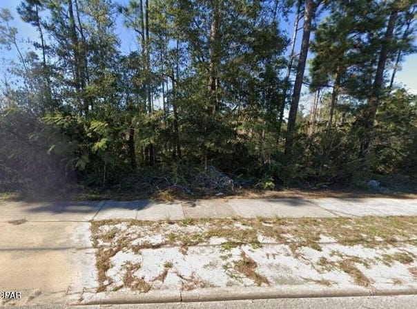 0 Hwy 231, Fountain, FL 32438