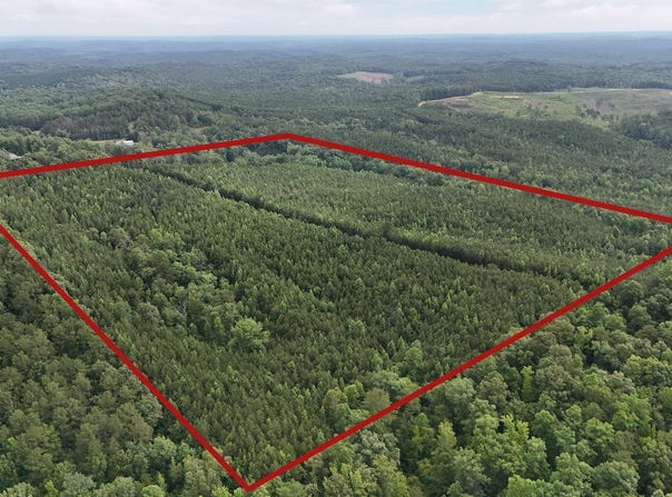 SKYVIEW LAKE ROAD lot: 0, COTTONDALE, AL 35453