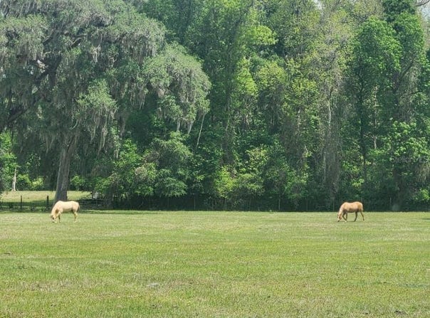 0 NE 132ND PLACE, ANTHONY, FL 32617