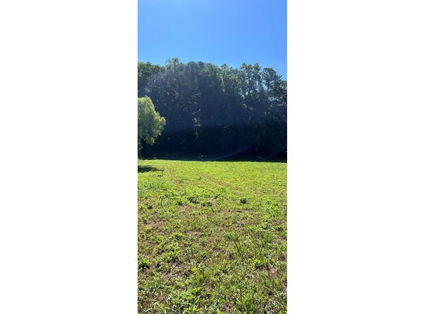 56 Acres Old Hwy 5S, Talking Rock, GA 30175