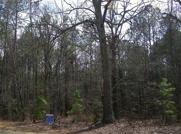 Lot 29 Benjamin Brown, Elberton, GA 30635