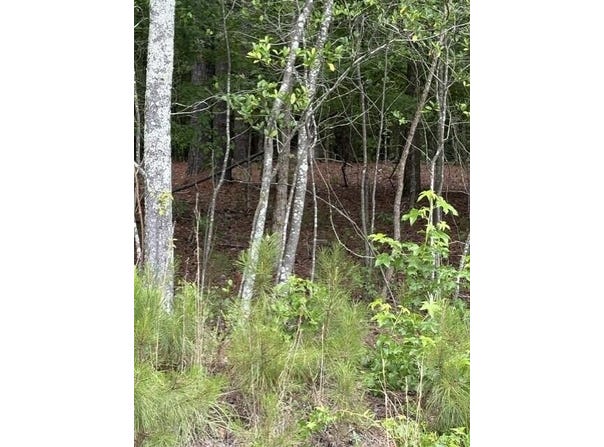 Cemetery Road lot: B, Elko, SC 29826