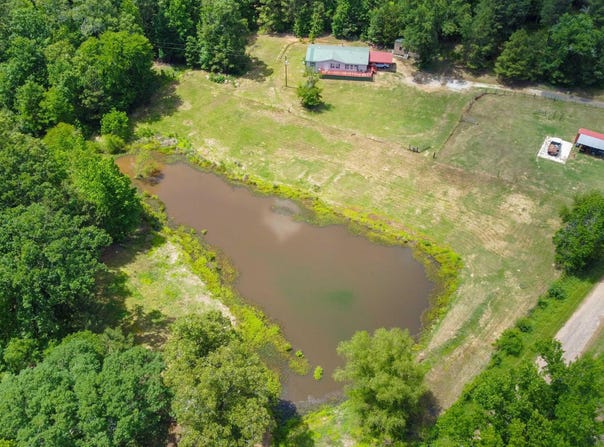 3388 County Road 4223, Bivins, TX 75555