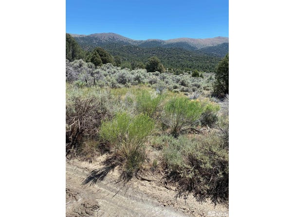 El Dorado Canyon, Carson City, NV 89701