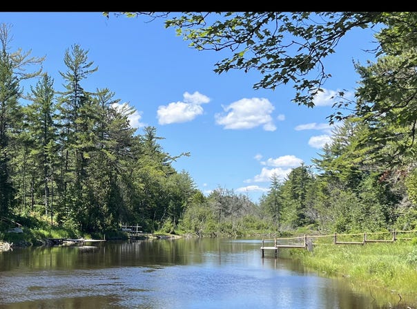LOT 223 WEST RIVER RD, NAUBINWAY, MI 49762
