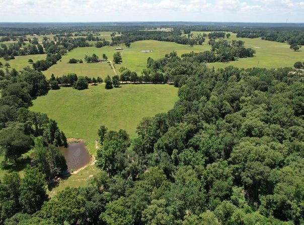 TBD CR 2126, Crockett, TX 75835