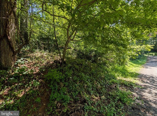 LOT 85-86 ORIOLE CT, FRONT ROYAL, VA 22630
