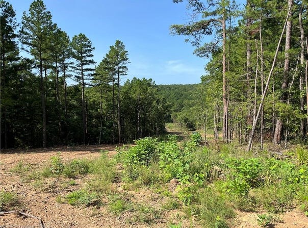 0089 Tract 8 & 9 Goats Bluff, Wister, OK 74966