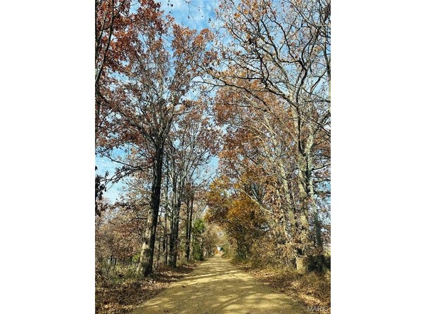 0 BCR 807, Glen Allen, MO 63751